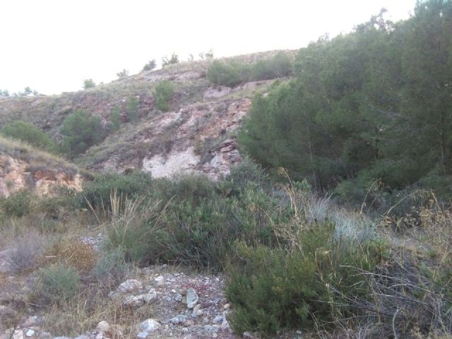 El PSOE pide a la CHS la limpieza y conservación de las ramblas del entorno urbano de Lorca y un Programa de Sensibilización Ciudadana - 1, Foto 1