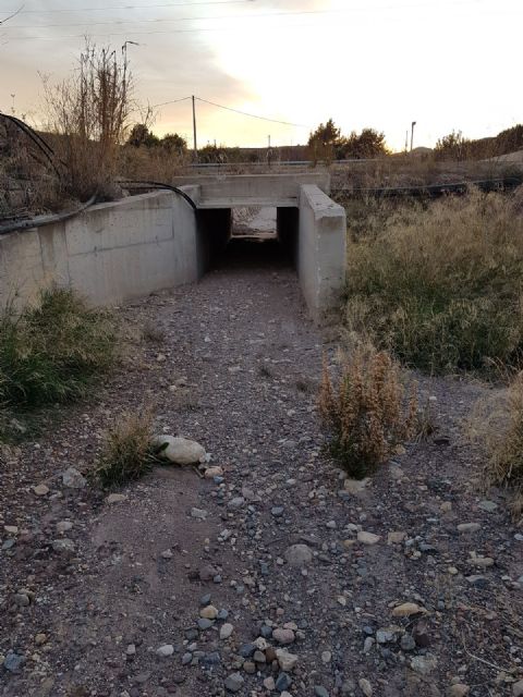 El PSOE pide a la CHS la limpieza y conservación de las ramblas del entorno urbano de Lorca y un Programa de Sensibilización Ciudadana - 3, Foto 3