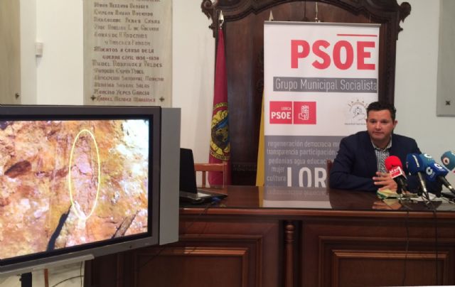 El PSOE pide a la CHS la limpieza y conservación de las ramblas del entorno urbano de Lorca y un Programa de Sensibilización Ciudadana - 4, Foto 4