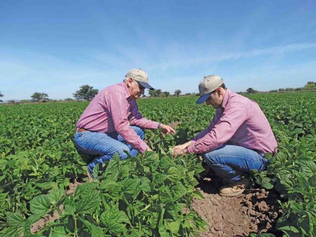 Los ingenieros agroalimentarios destacan el protagonismo de su profesión en el sector agroalimentario durante 2017 - 1, Foto 1