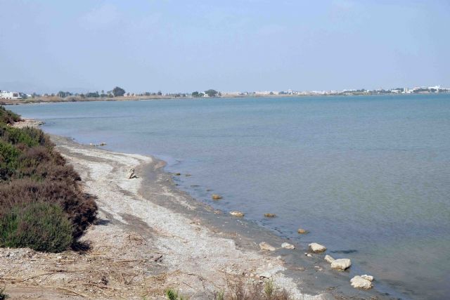 Conclusiones COASTAL - 1, Foto 1