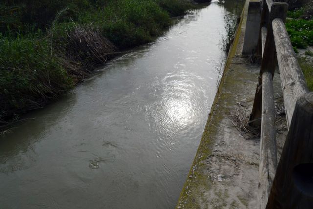 La Guardia Civil esclarece un caso continuado de detención ilegal y tentativa de homicidio sobre un discapacitado - 3, Foto 3