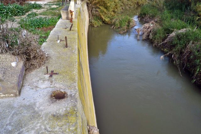 La Guardia Civil esclarece un caso continuado de detención ilegal y tentativa de homicidio sobre un discapacitado - 4, Foto 4