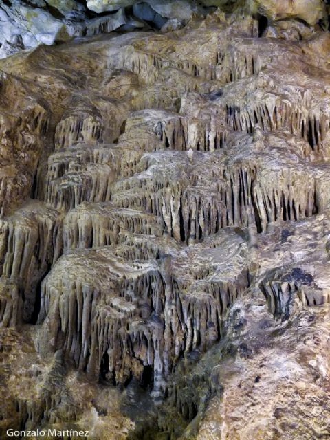 El ayuntamiento de Calasparra sacan a licitación la gestión del servicio del complejo turístico Cueva del Puerto de Calasparra - 2, Foto 2