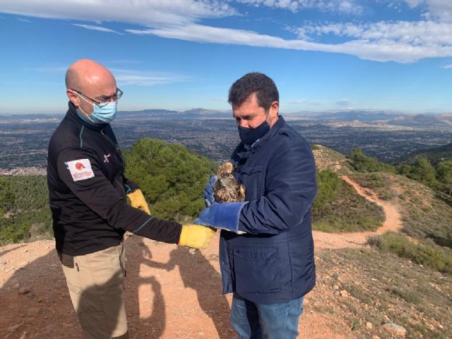 La Comunidad libera un ejemplar de azor tras su rehabilitación en el Centro de Recuperación de Fauna Silvestre de El Valle - 1, Foto 1