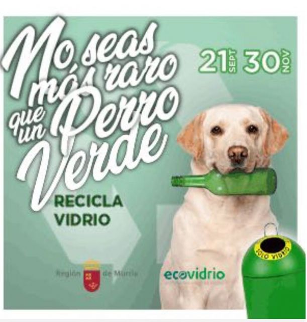 Puerto Lumbreras logra el  tercer puesto en el reto de la campaña No seas más raro que un Perro Verde, Recicla Vidrio de ECOVIDRIO - 1, Foto 1