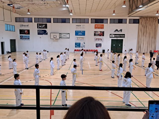 Paso de grados del Club Taekwondo Totana, Foto 2