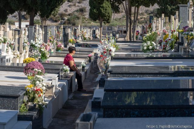 Sanidad mejora los cementerios de San Ginés y Santa Lucía con 29.000 euros - 1, Foto 1