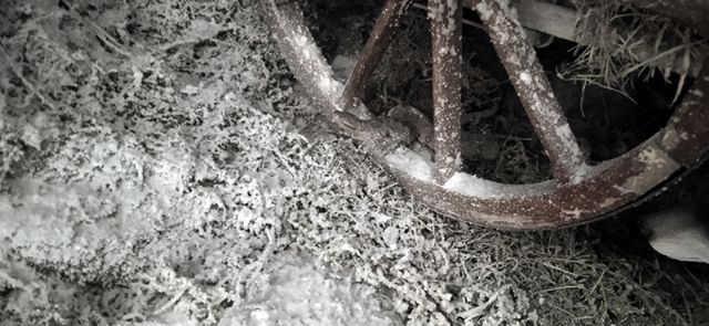 Un belén para la contemplación, Sevilla acoge un nuevo testimonio del Misterio de la Encarnación - 2, Foto 2