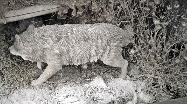 Un belén para la contemplación, Sevilla acoge un nuevo testimonio del Misterio de la Encarnación - 3, Foto 3
