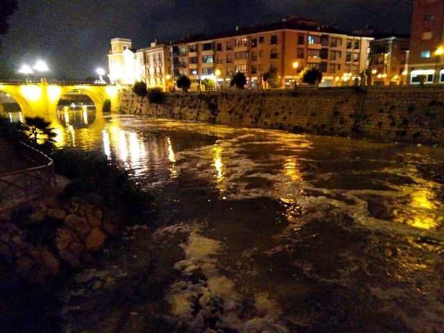 La fiscalía abre diligencias por el mal estado del Segura tras la denuncia de Huermur - 5, Foto 5