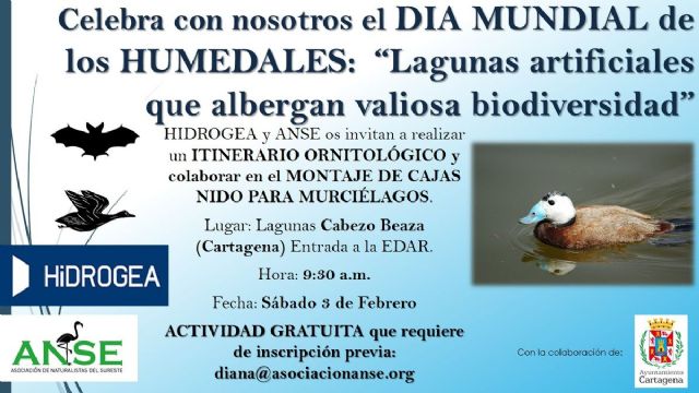 El Ayuntamiento se une a la celebracion del Dia Mundial de los Humedales con un itinerario ornitologico y el montaje de nidos para murcielagos en la depuradora de Cabezo Beaza - 1, Foto 1