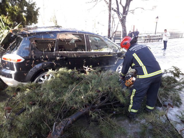 El Servicio Municipal de Emergencias limpia de nieve y hielo casi 50 kms. de carreteras del término municipal durante la jornada del domingo en el marco del Plan Territorial de Emergencias de Lorca - 2, Foto 2