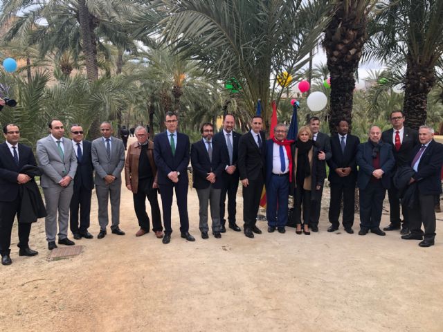 La Comunidad respalda en Orihuela la ruta de los palmerales del Sureste y Norte de África - 1, Foto 1