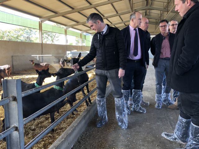 Agricultura solicitará al Ministerio que declare a la Región oficialmente indemne de brucelosis - 1, Foto 1