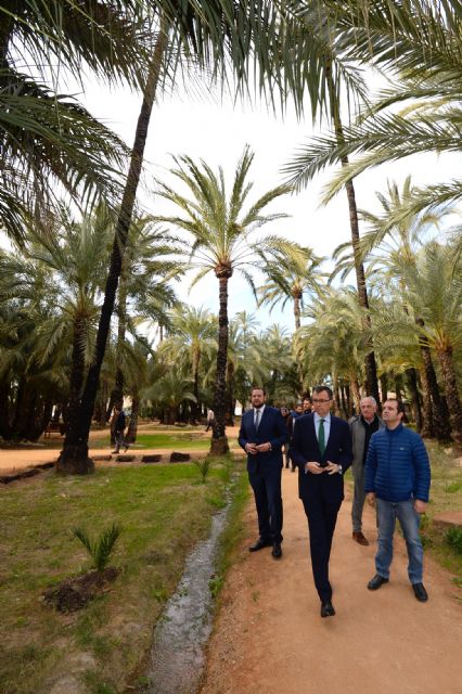 Murcia formará parte de la I Ruta de los Palmerales del Sureste y Norte de África - 1, Foto 1