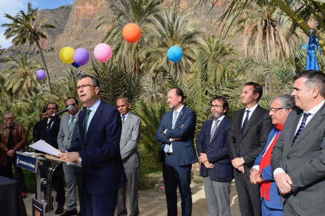 Murcia formará parte de la I Ruta de los Palmerales del Sureste y Norte de África - 3, Foto 3