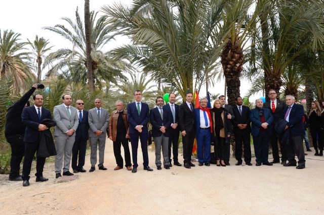 Murcia formará parte de la I Ruta de los Palmerales del Sureste y Norte de África - 4, Foto 4