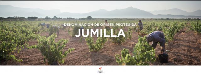 DOP Jumilla protagonista en BWW Lands. Territorio y paisaje del Vino - 3, Foto 3