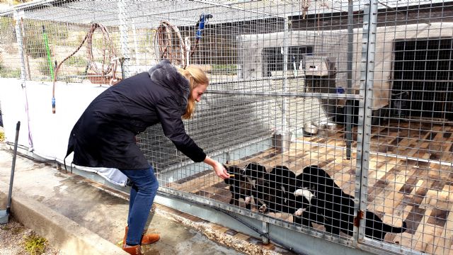 Looije visita las instalaciones de Aguiproan - 2, Foto 2