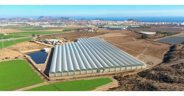 Looije incrementa en un 14% su producción de tomate cherry en el año más difícil - 1, Foto 1