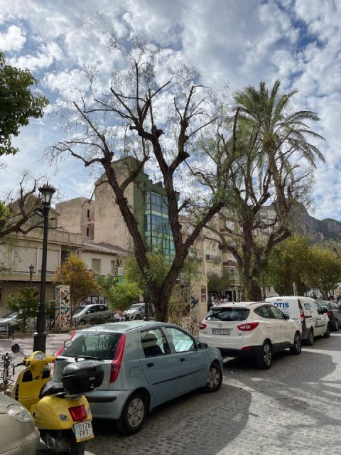 Inicio de los trabajos de sustitución de arbolado en el Paseo - 1, Foto 1