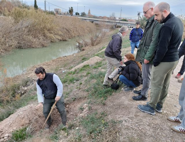 Plantan un bosque de ribera con un centenar de árboles para impulsar el entorno natural del río Segura y proteger la biodiversidad - 1, Foto 1