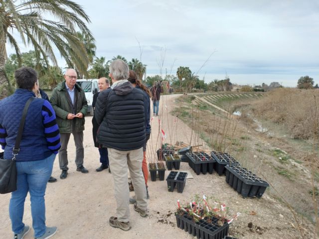 Plantan un bosque de ribera con un centenar de árboles para impulsar el entorno natural del río Segura y proteger la biodiversidad - 2, Foto 2