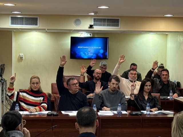 Sáez: PSOE y Vox se unen para rechazar que se revise la aplicación de la tasa de la basura que se ha aplicado en las zonas rurales - 1, Foto 1