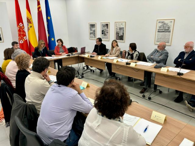 La Comisión Asesora de Salud Pública pone en marcha sus grupos de trabajo para abordar los desafíos actuales en materia de salud - 2, Foto 2