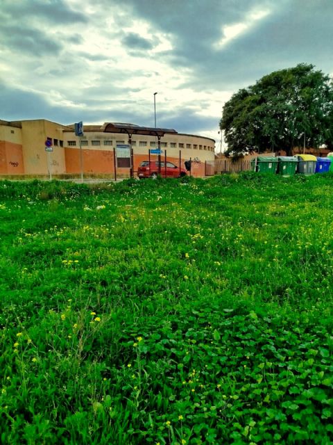 El PCAN denuncia una plaga de ratas en Los Barreros frente al centro de salud y el Parque Antoñares - 2, Foto 2