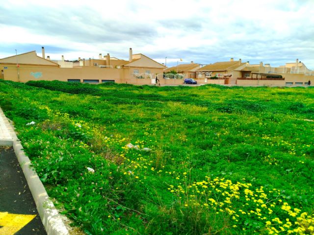 El PCAN denuncia una plaga de ratas en Los Barreros frente al centro de salud y el Parque Antoñares - 3, Foto 3