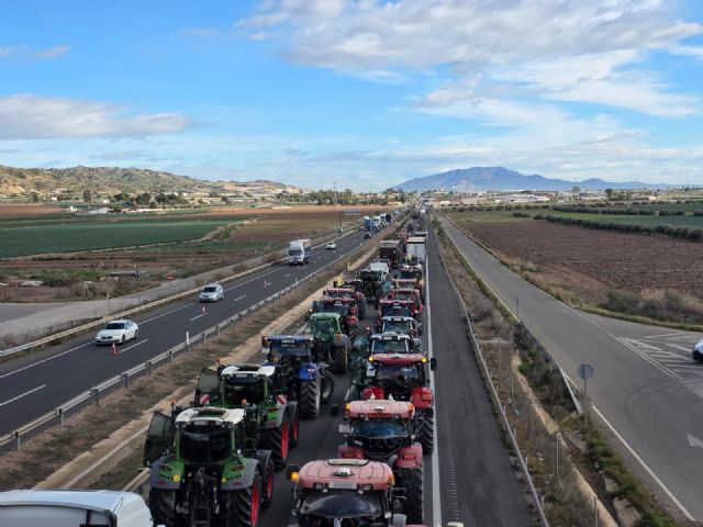 El Ayuntamiento de Lorca apoya la protesta de los agricultores e insiste en exigir acuerdos comerciales justos con clausulas espejo, blindar el trasvase Tajo-Segura y reformar la PAC - 4, Foto 4