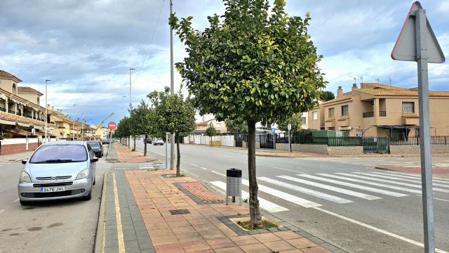 Los Alcázares apuesta por la sostenibilidad con nuevas plantaciones de especies de bajo consumo hídrico - 2, Foto 2