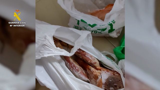 La Guardia Civil lidera la campa&ntilde;a nacional para la lucha contra irregularidades en el sector ganadero - 2, Foto 2