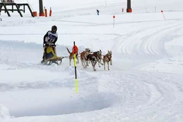 El torreño Tomás Ruiz, subcampeón de España de mushing en nieve - 2, Foto 2