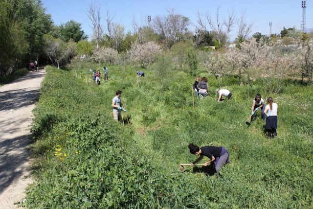 Voluntarios y voluntarias de Molina de Segura celebraron el Día Mundial del Árbol 2017 con una plantación en el Soto de la Hijuela - 1, Foto 1