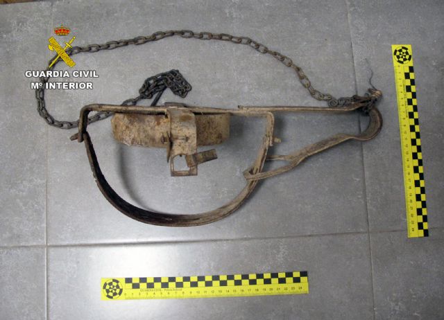 La Guardia Civil investiga a dos vecinos de Murcia y Cartagena por sendos delitos de abandono animal - 1, Foto 1