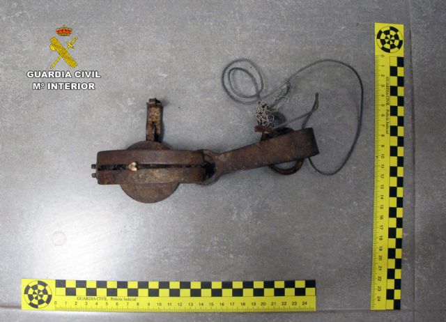 La Guardia Civil investiga a dos vecinos de Murcia y Cartagena por sendos delitos de abandono animal - 2, Foto 2