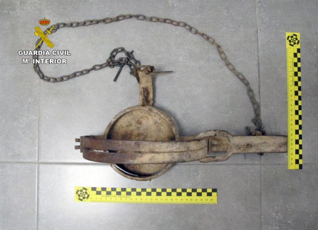 La Guardia Civil investiga a dos vecinos de Murcia y Cartagena por sendos delitos de abandono animal - 4, Foto 4