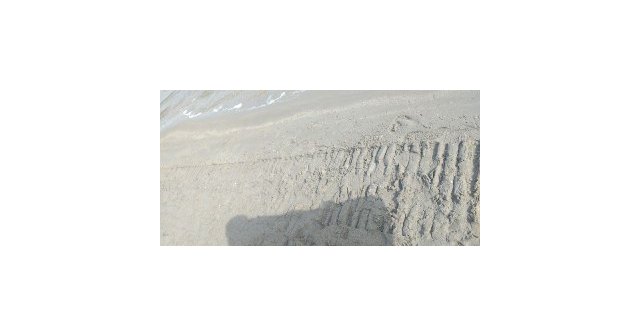 Denuncian la mala praxis en la gestión de mantenimiento de las playas del Ayuntamiento de San Javier - 3, Foto 3