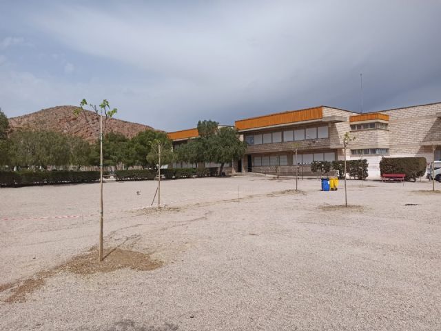 El Ayuntamiento de Lorca inicia la plantación de más de una treintena de árboles en los colegios Juan González y Alfonso García de Purias - 2, Foto 2