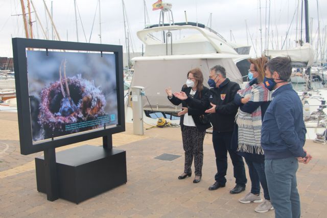 Ecodenuncia muestra en el puerto Marina de Las Salinas los efectos de la basura en los fondos marinos - 1, Foto 1