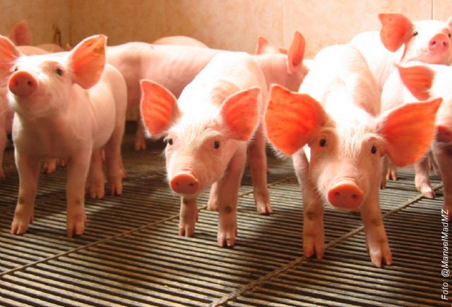 Propuestas de la Plataforma del Paisaje para conciliar ganadería con viviendas, medioambiente y otras actividades - 1, Foto 1