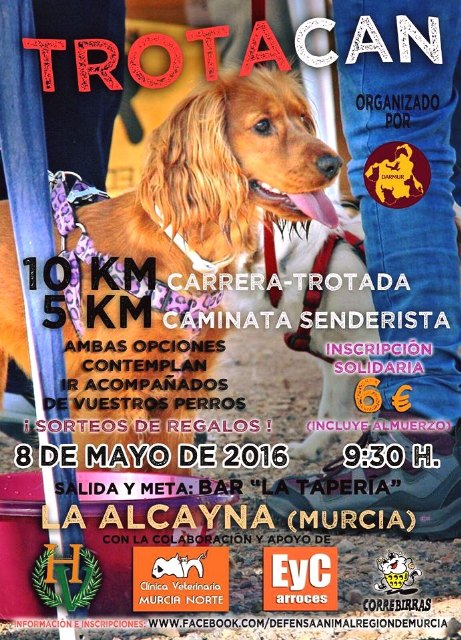 La federación FDARMUR organiza el “Trotacan” solidario a beneficio de las protectoras de animales - 1, Foto 1