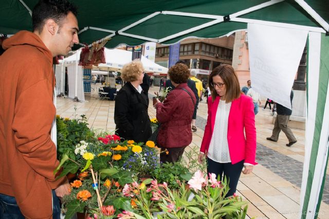 Se venden plantas solidarias por la V Semana de la flor - 2, Foto 2