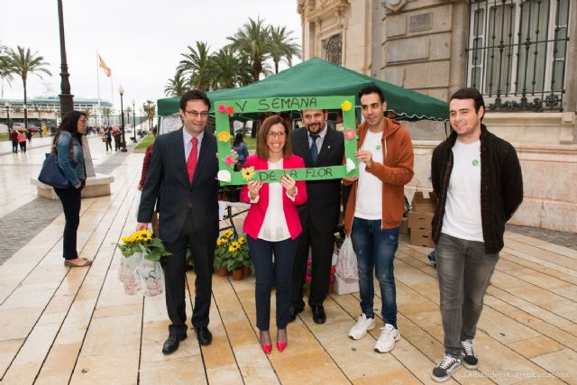 Se venden plantas solidarias por la V Semana de la flor - 3, Foto 3
