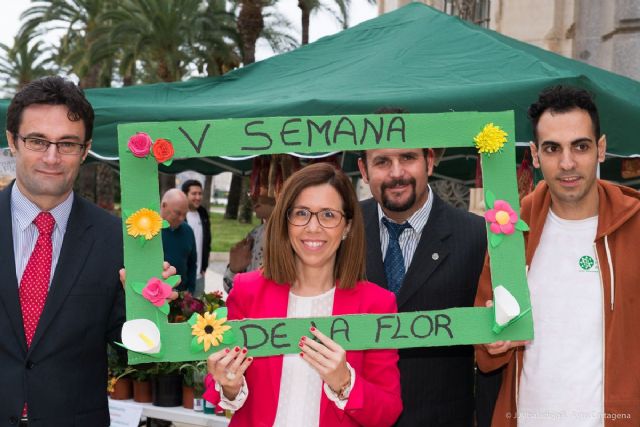 Se venden plantas solidarias por la V Semana de la flor - 4, Foto 4