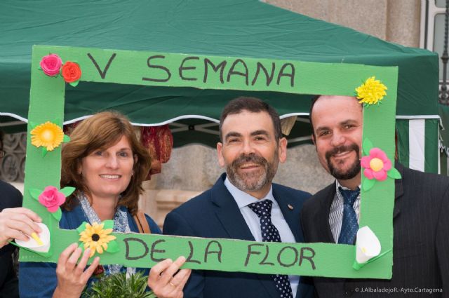 Se venden plantas solidarias por la V Semana de la flor - 5, Foto 5