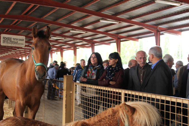 La Feria de Ganado Equino de Puerto Lumbreras abre sus puertas con eliminación de tasas para los ganaderos - 1, Foto 1